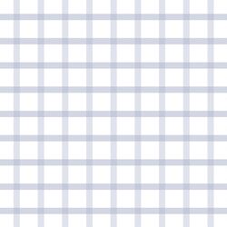 Gingham Check in Water
