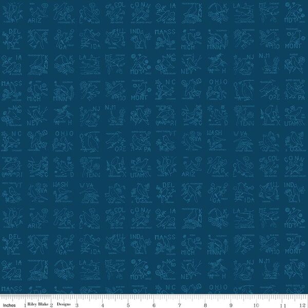 State Birds in Blue