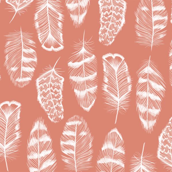 Plume in Desert Rose