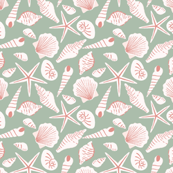 Sea Shells in Beachy