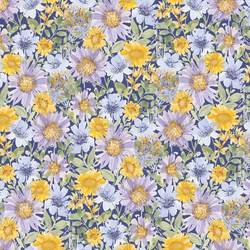 Daisy Garden in Evening