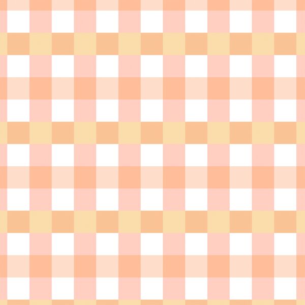 Gingham in Garden Rose
