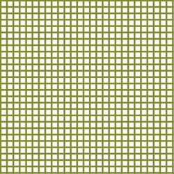 Picnic Blanket in Grass