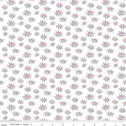 Fireworks in White