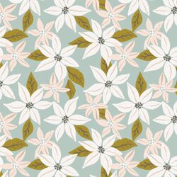 Poinsettia in Multi