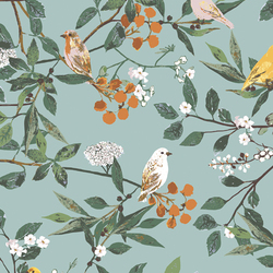 Melodic Plumage in Day