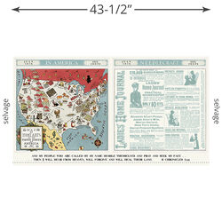 Sew America Pillow Panel