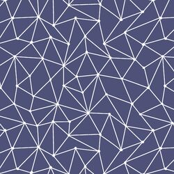 Astral Nights in Indigo
