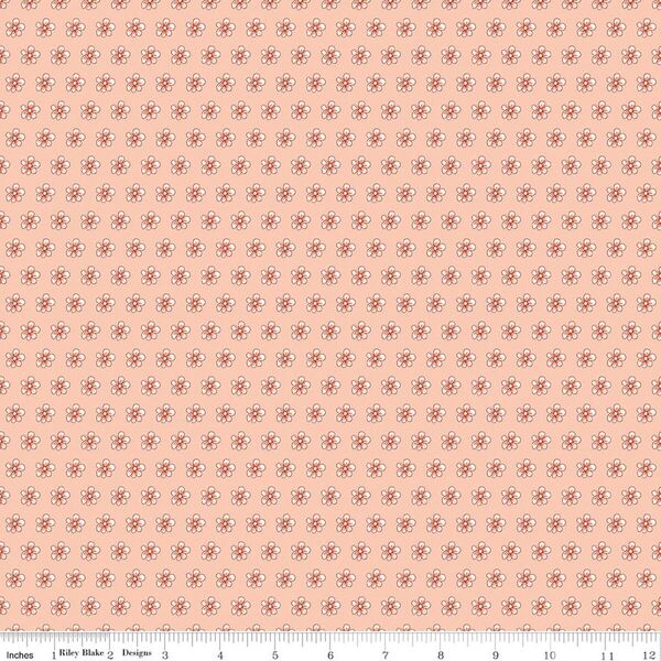 Flowers in Blush