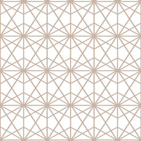 Terrarium in Sand on White