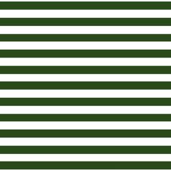 Thick Stripe in Holly Green