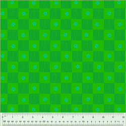 Footpath in Clover