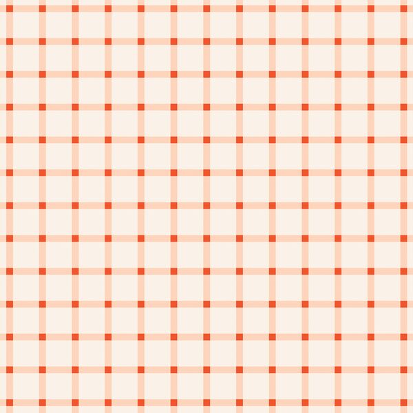 Sunshine Gingham in Cherry Blush