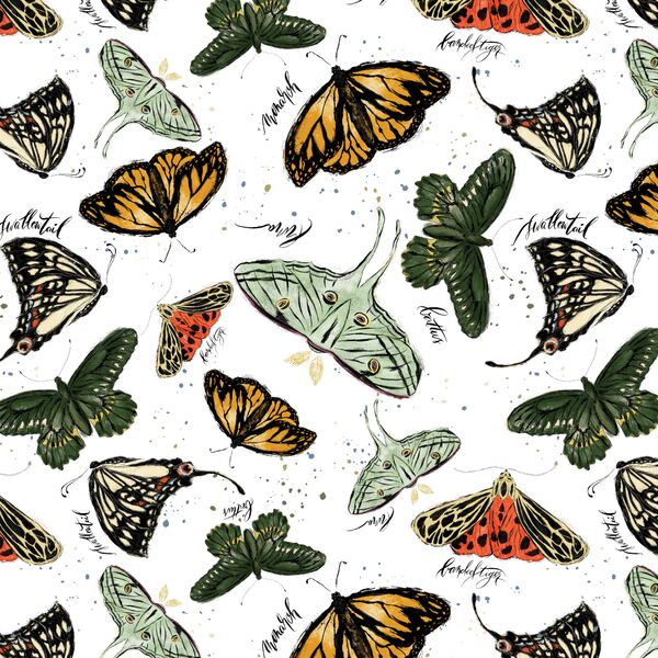 Butterflies in Autumn Revival