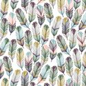 Feathers in Black Forest