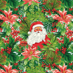 Palm Beach Santa in Christmas