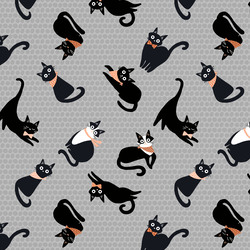 Kitties in Gray
