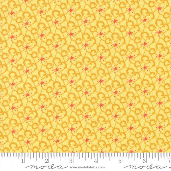 Mistral in Lemon Drop