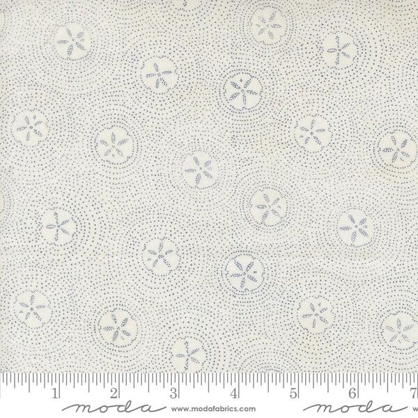 Sand Dollar Ripples in White