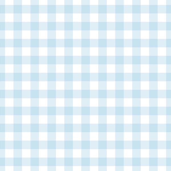 Large Summer Gingham in Summer Sky