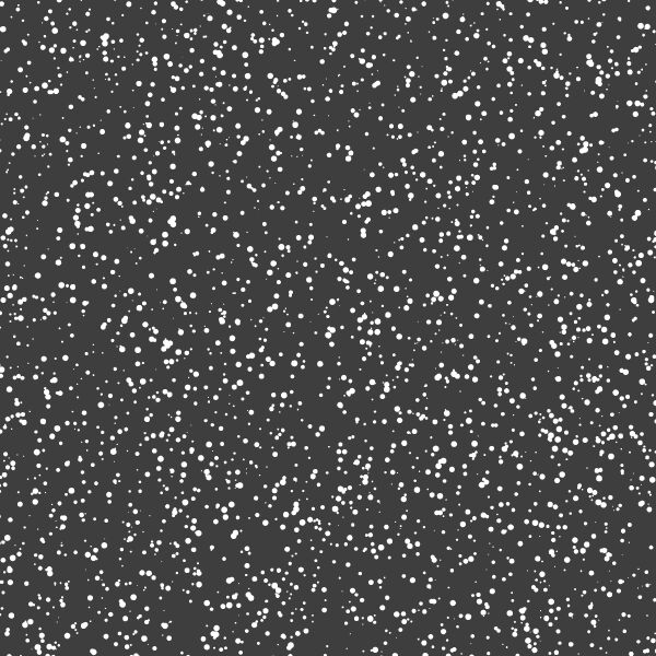Stardust in Onyx