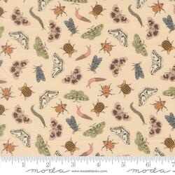 Entomology in Ballerina