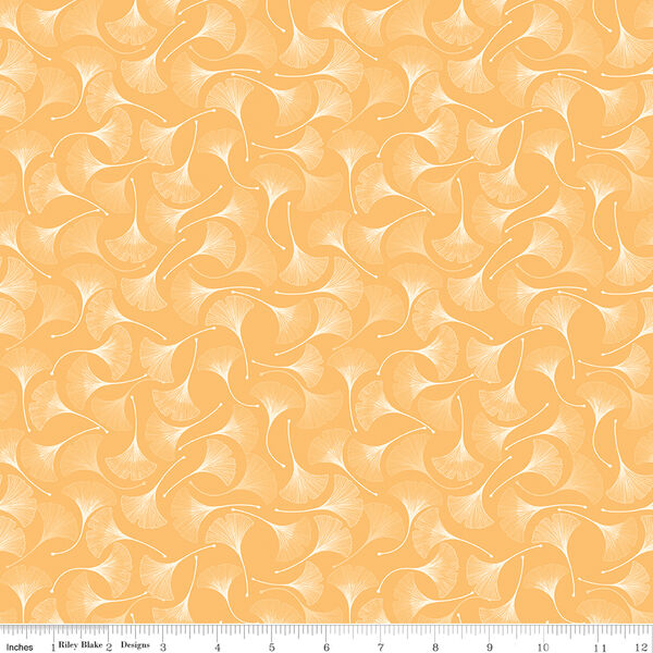 Ginkgos in Daisy