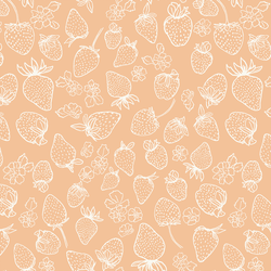 Berry Delight Sketch in Apricot