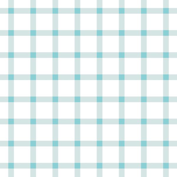 Summer Gingham Check in Raindrop