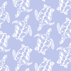 Honu in Tidal