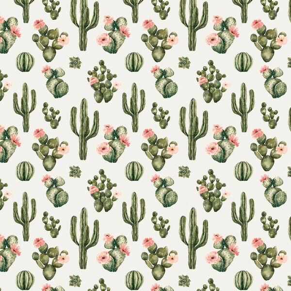 Little Blooming Desert in Cloud