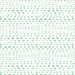 Little Skipping Stones in Sprout on White