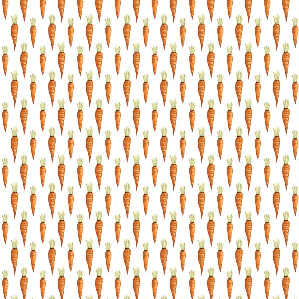 Little Carrots in White