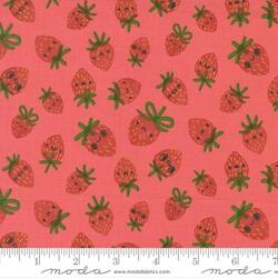 Strawberries in Pink