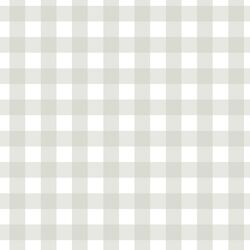 Gingham in Sweet Green