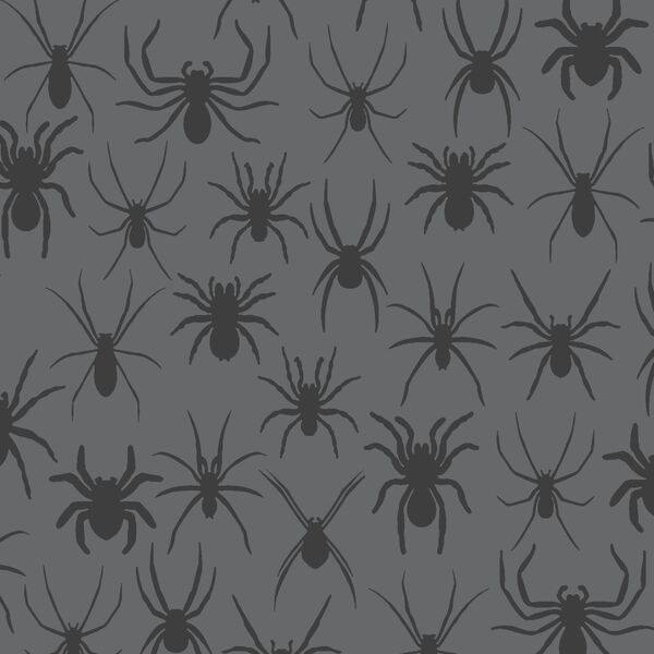 Spider Crawl in Charcoal