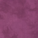 Palette in Marion Berry