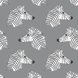 Burchell Zebra in Smoke