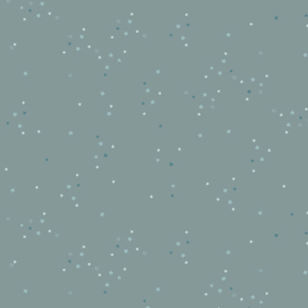Twinkle Little Stars in Sky