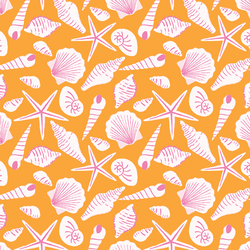 Sea Shells in Summer