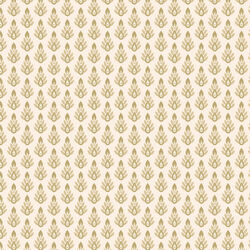 Geometry in Almond