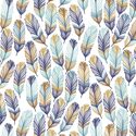 Feathers in Northern Trails