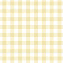 Gingham in Sunlight