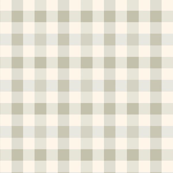 Gingham in Summer Sage