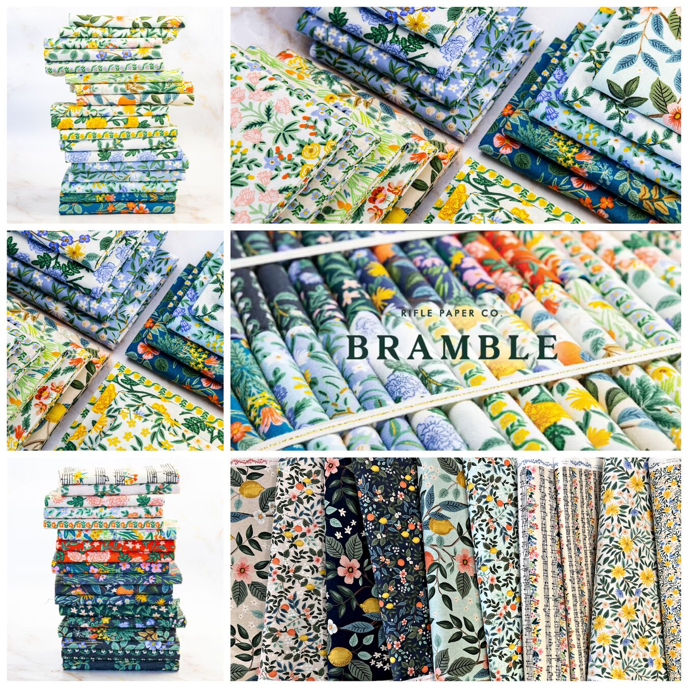 Bramble by Rifle Paper Co | Hawthorne Supply Co