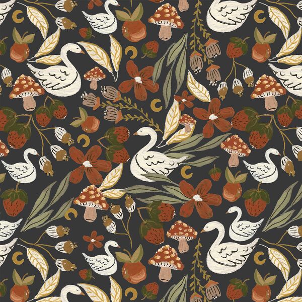 Midnight Swan in Midnight