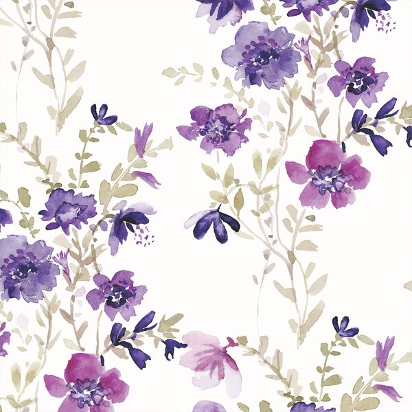 Hello Beautiful in Clematis