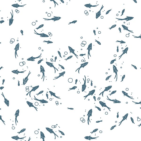 Salmon Run in Lake