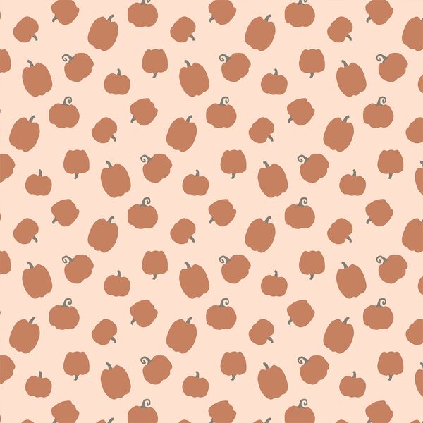 Little Pumpkins in Shell Pink