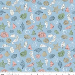 Shells in Blue